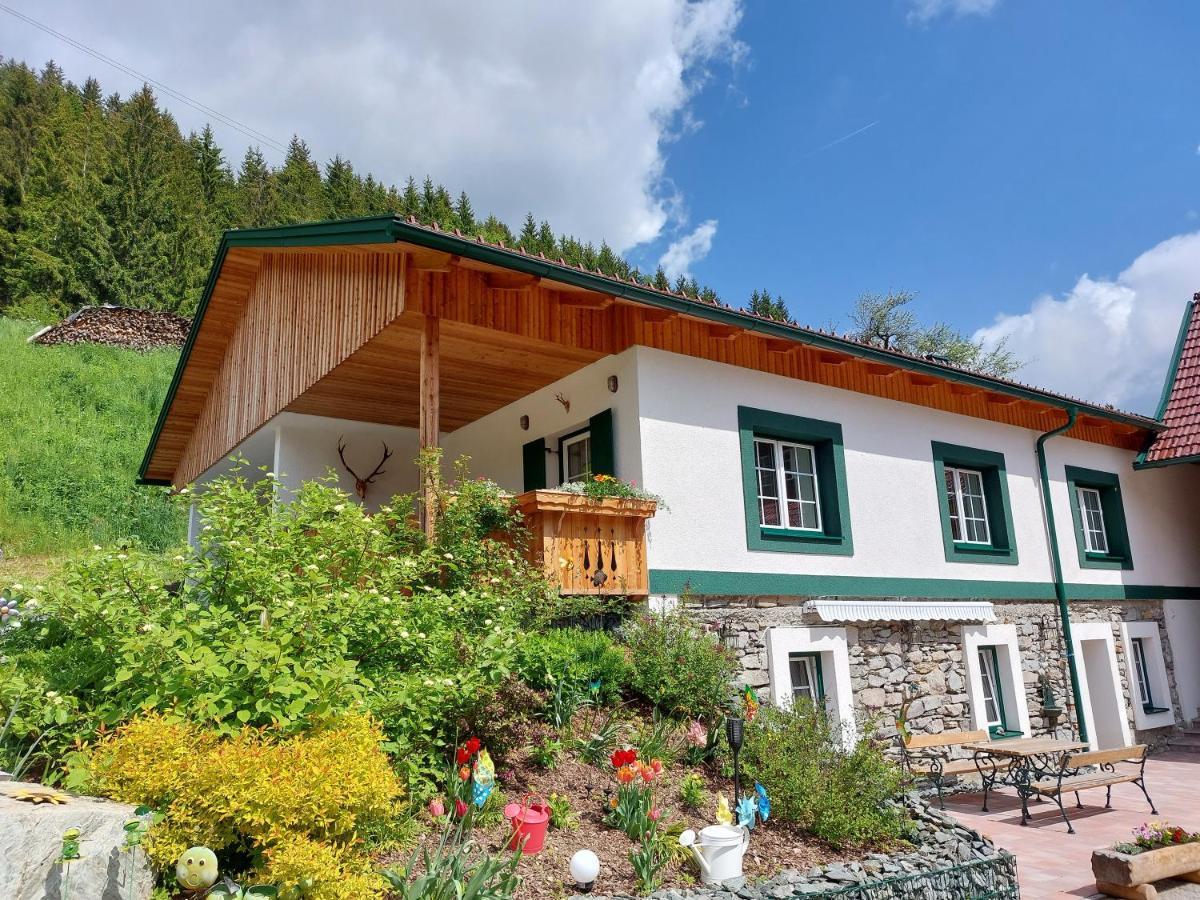 Landhaus Gruenjuwel Himmelberg エクステリア 写真