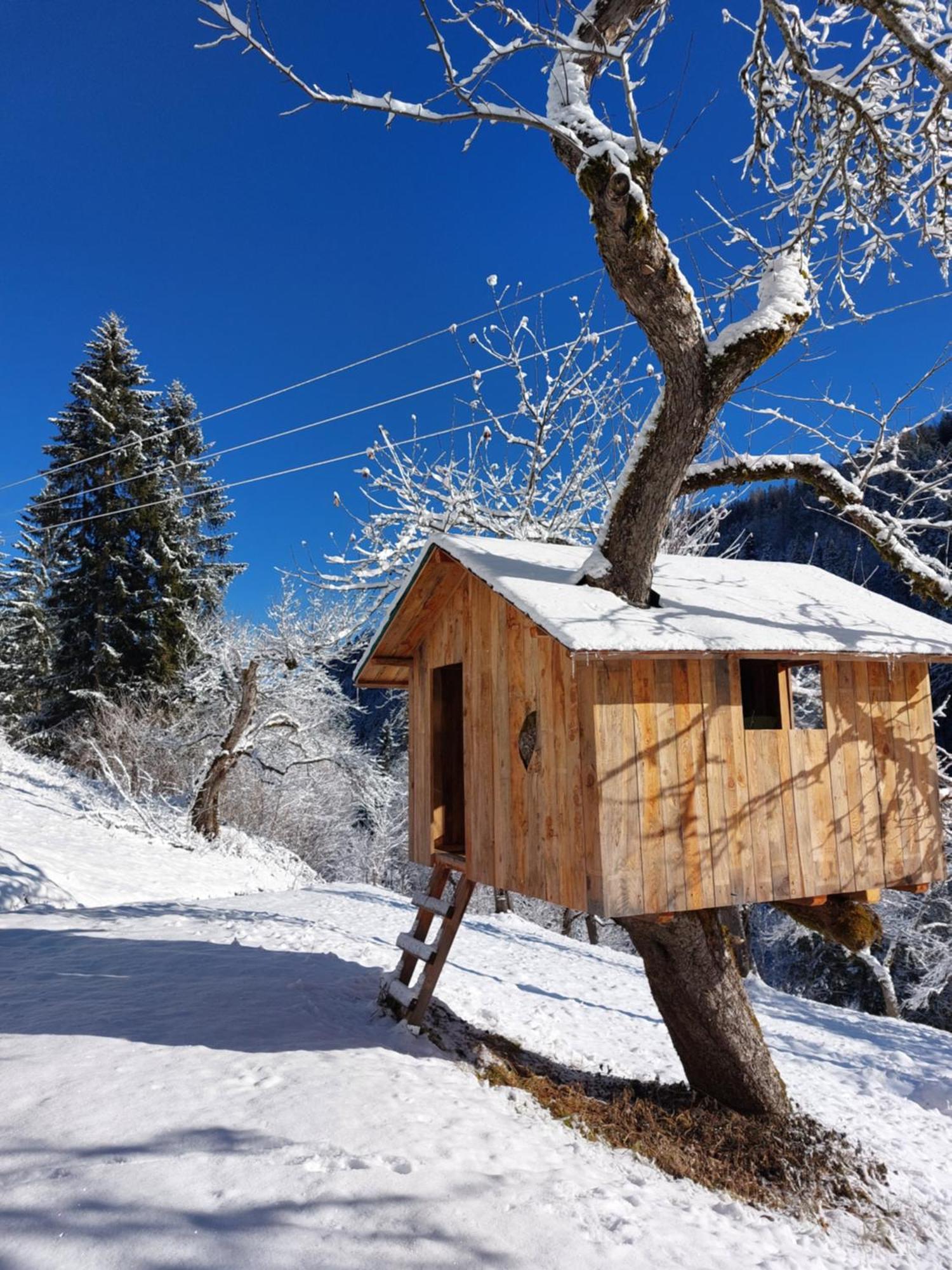 Landhaus Gruenjuwel Himmelberg エクステリア 写真